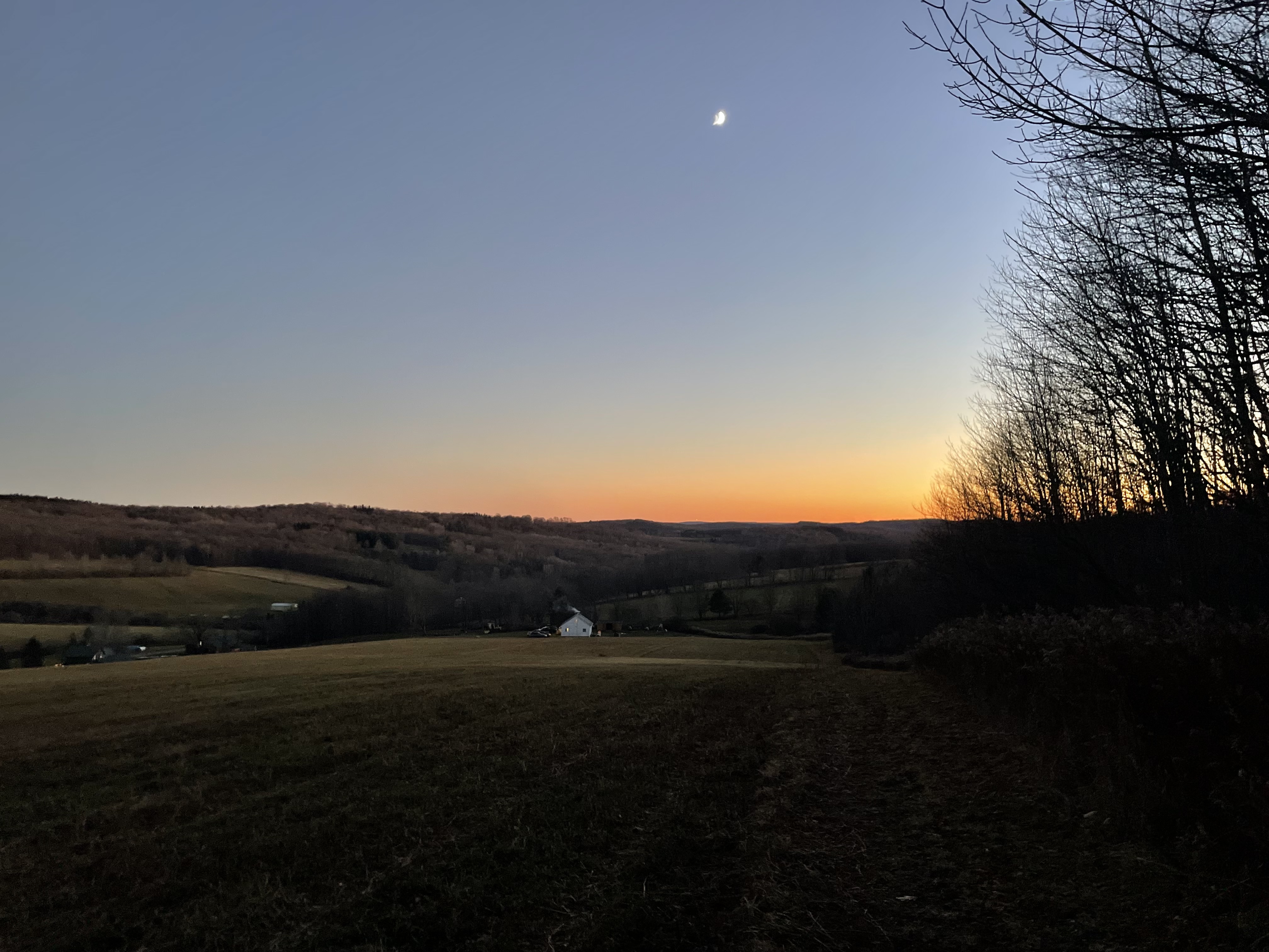 Fire in the Back Forty